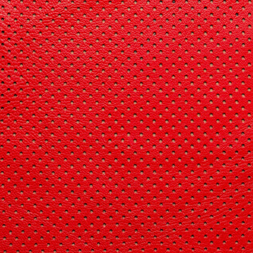 Red Perforated Lamb Nappa Leather