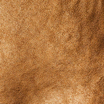 Bronze Metallic Leather