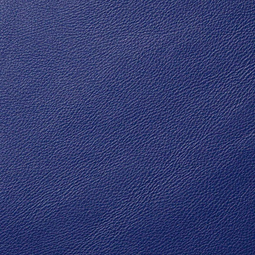 Royal Blue Motorcycle Leather